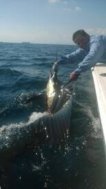 Fujairah Report Photo 1